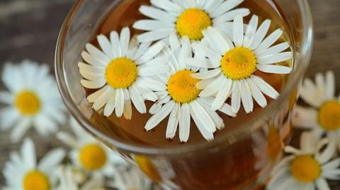 Chamomile Calmer