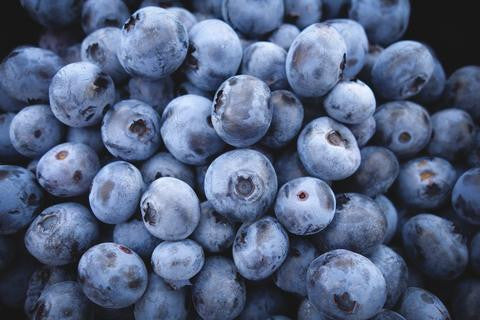 Blueberry Breakfast